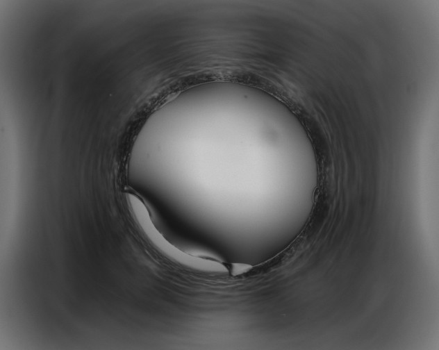 X0000086740750200705041407