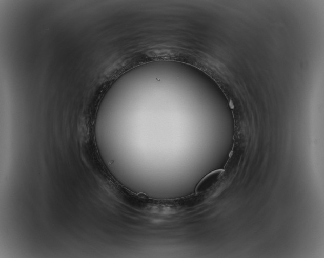 X0000086740751200705041407