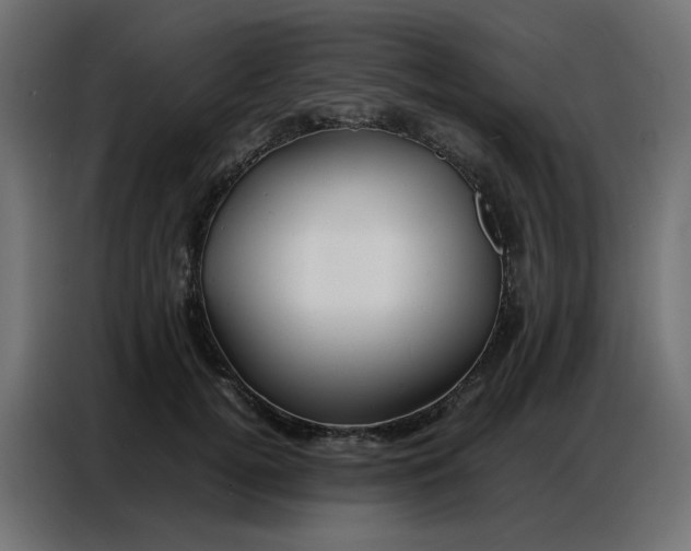 X0000086740752200705041407