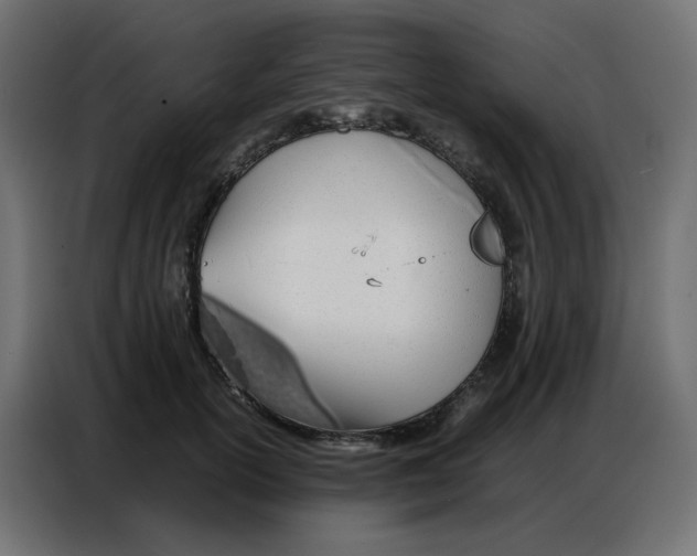 X0000086740754200705041407