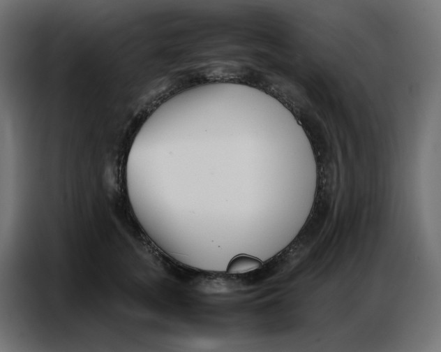 X0000086740755200705041407