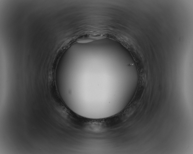 X0000086740756200705041407