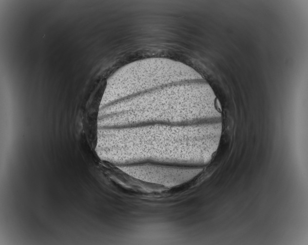 X0000086740758200705041407