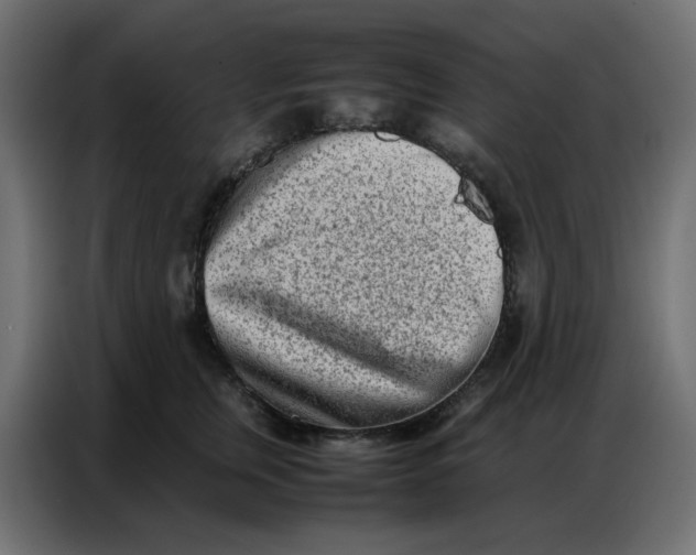 X0000086740759200705041407