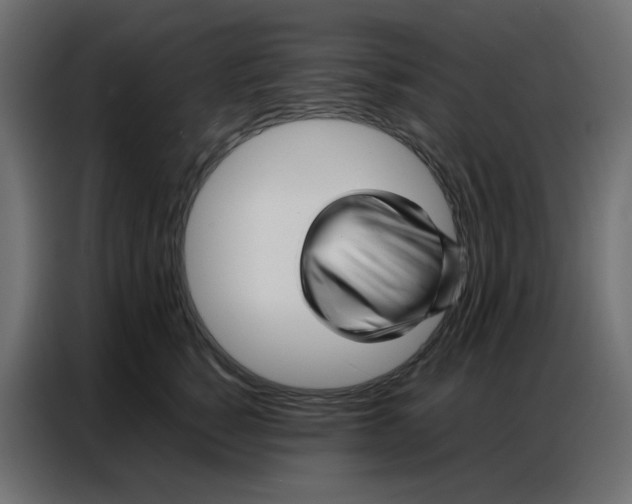 X0000086740760200705041407