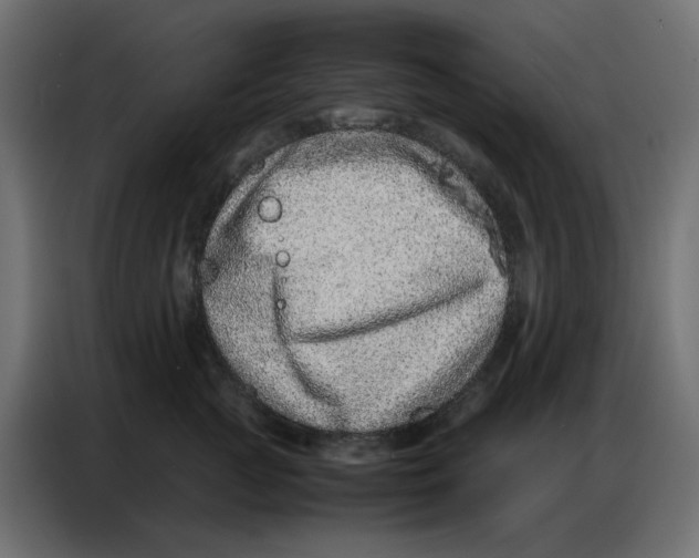 X0000086740761200705041407