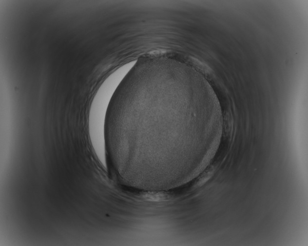 X0000086740762200705041407