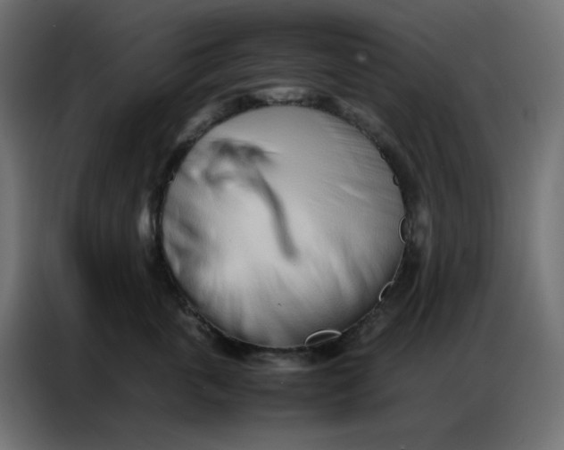 X0000086740763200705041407