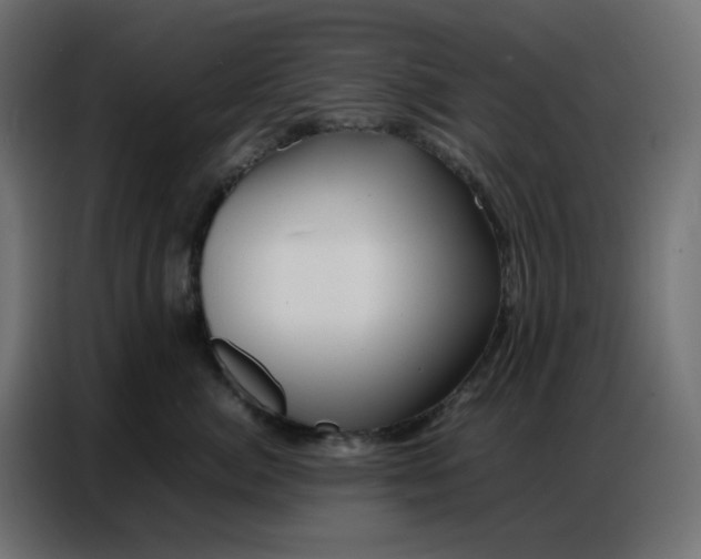 X0000086740764200705041407