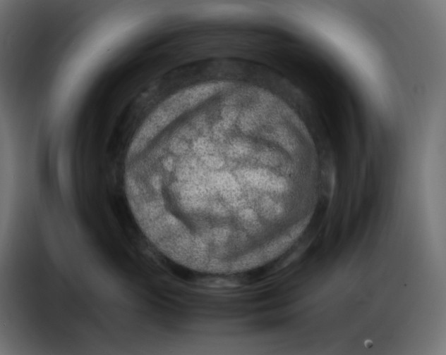 X0000086740765200705041407