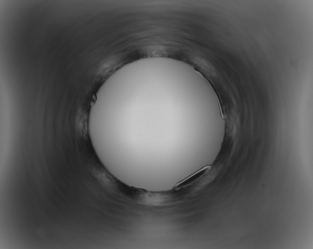 X0000086740766200705041407