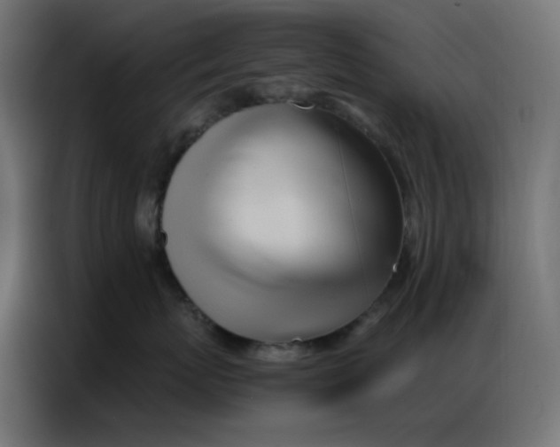 X0000086740767200705041407