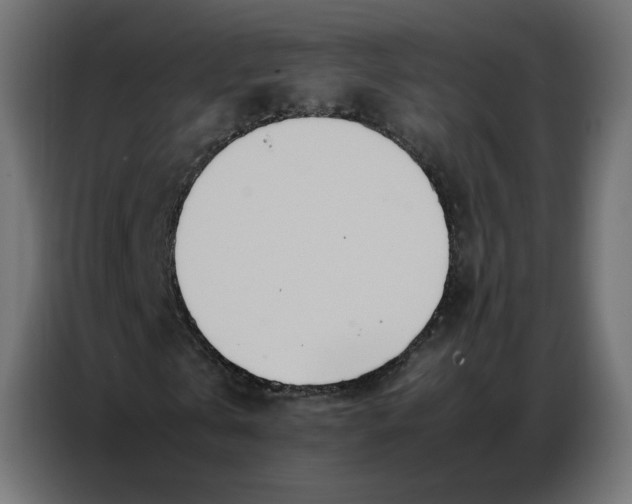 X0000086740769200705041407