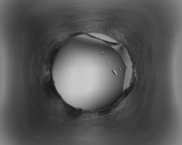 X0000086740771200705041407