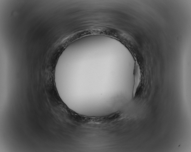 X0000086740773200705041407