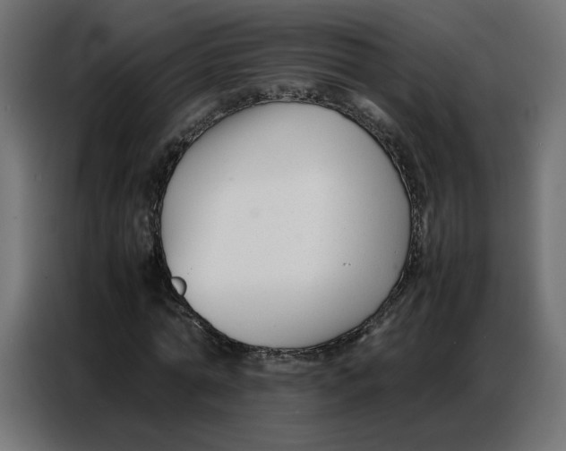 X0000086740774200705041407