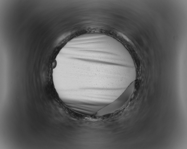 X0000086740775200705041407