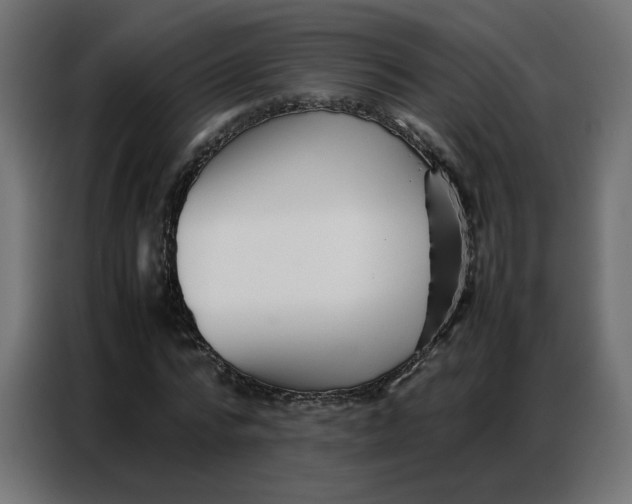 X0000086740776200705041407