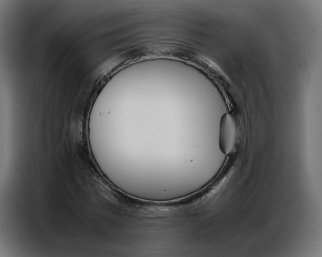 X0000086740777200705041407