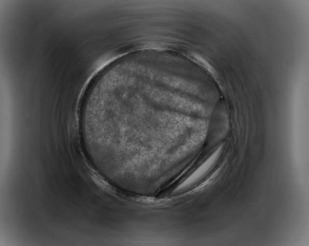 X0000086740779200705041407