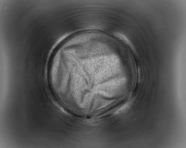 X0000086740780200705041407