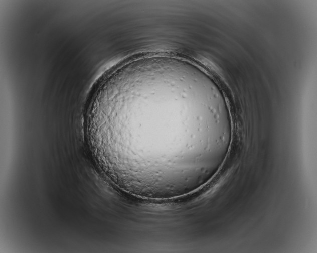 X0000086740781200705041407