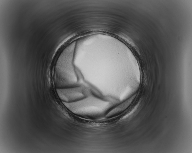 X0000086740782200705041407