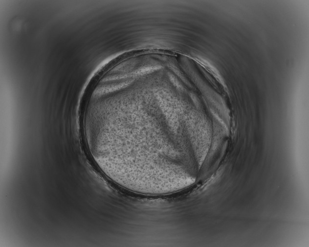 X0000086740784200705041406