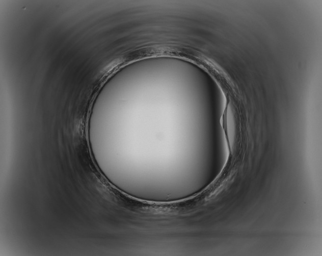 X0000086740785200705041406