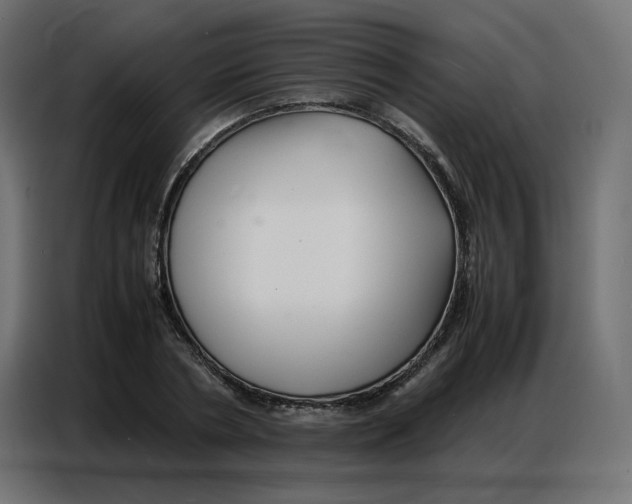 X0000086740786200705041406