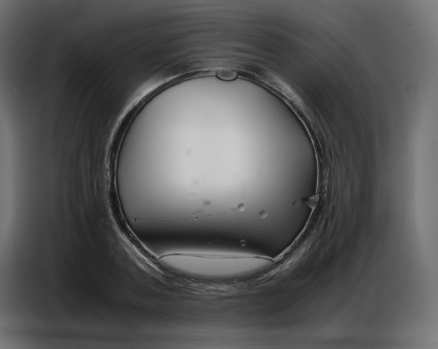 X0000086740787200705041406