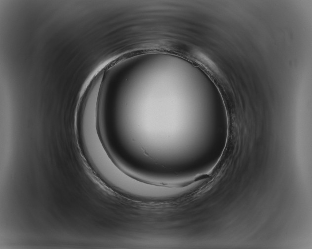 X0000086740788200705041406