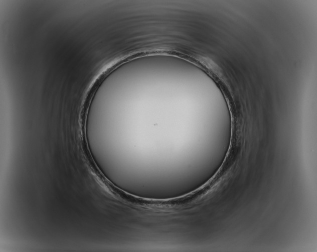 X0000086740789200705041406