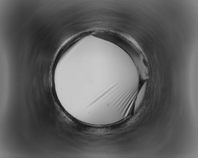 X0000086740791200705041406