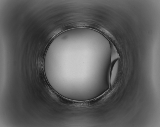 X0000086740793200705041406