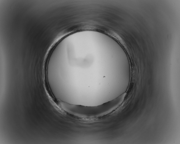 X0000086740795200705041406