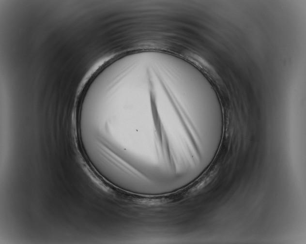 X0000086740796200705041406