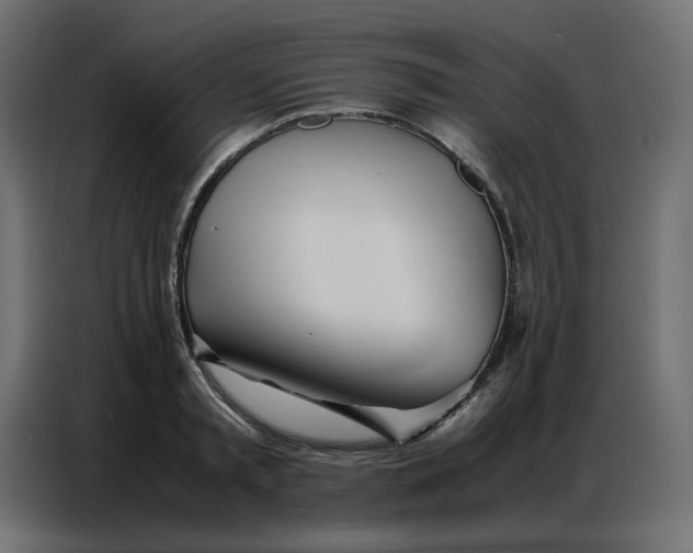 X0000086740797200705041406