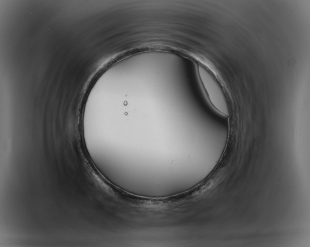 X0000086740799200705041406