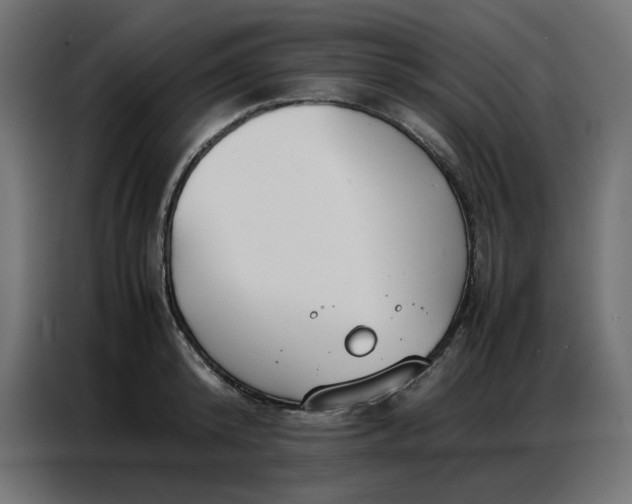 X0000086740800200705041406