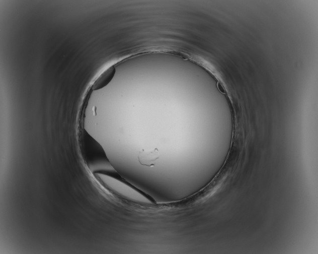 X0000086740803200705041406