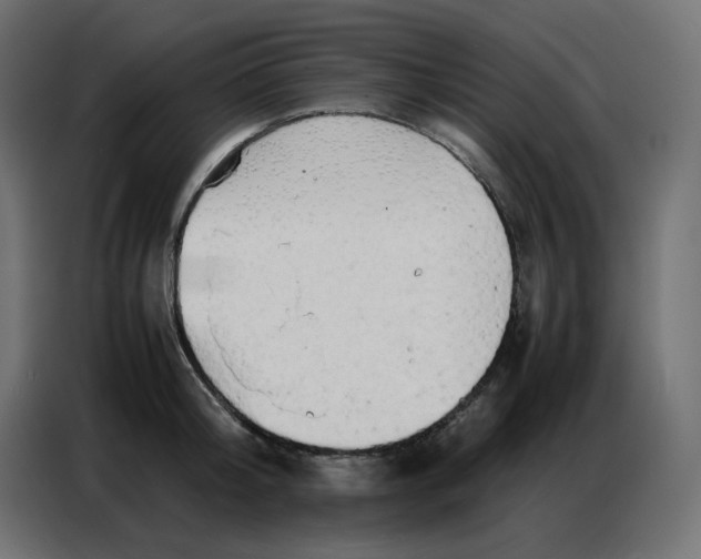 X0000086740804200705041406