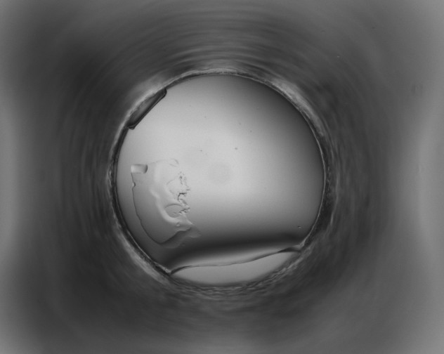 X0000086740805200705041406