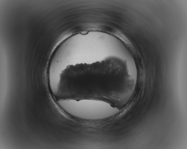 X0000086740806200705041406