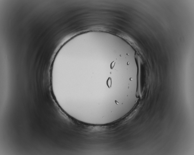 X0000086740808200705041406