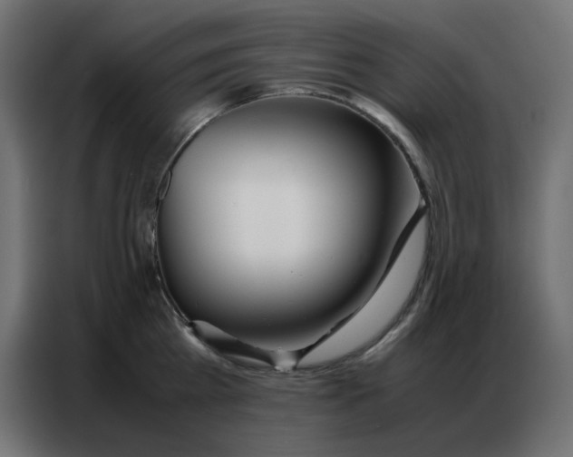 X0000086740809200705041406