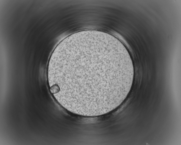 X0000086740810200705041406