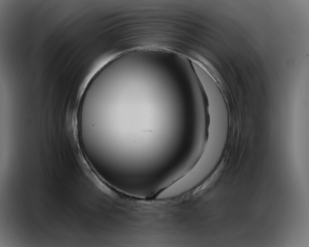 X0000086740812200705041406