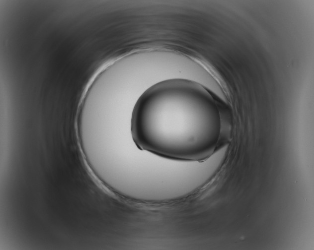 X0000086740813200705041406