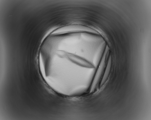 X0000086740814200705041406